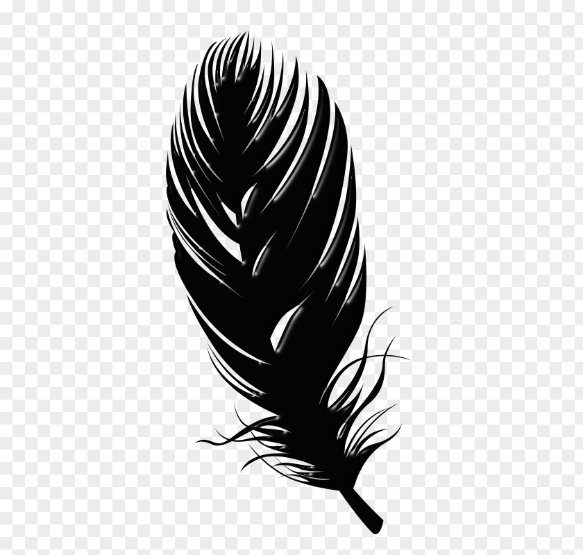 Tbc Banner Vector Graphics Feather Quill Image PNG