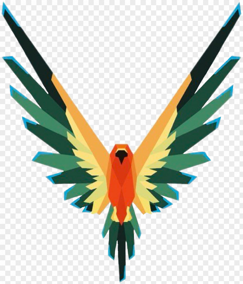 Bird Of Paradise Logo Image YouTube Drawing T-shirt PNG