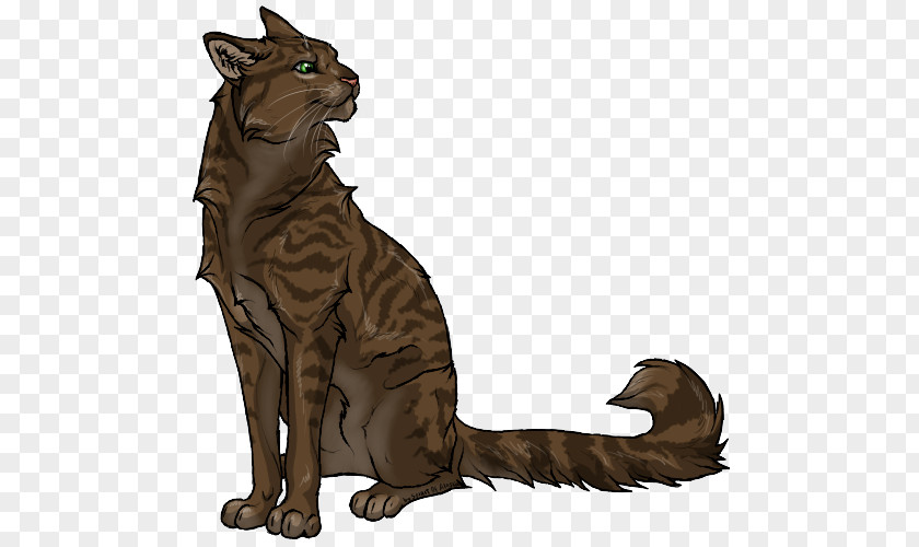 Cat Whiskers Wildcat Tiger Dog PNG