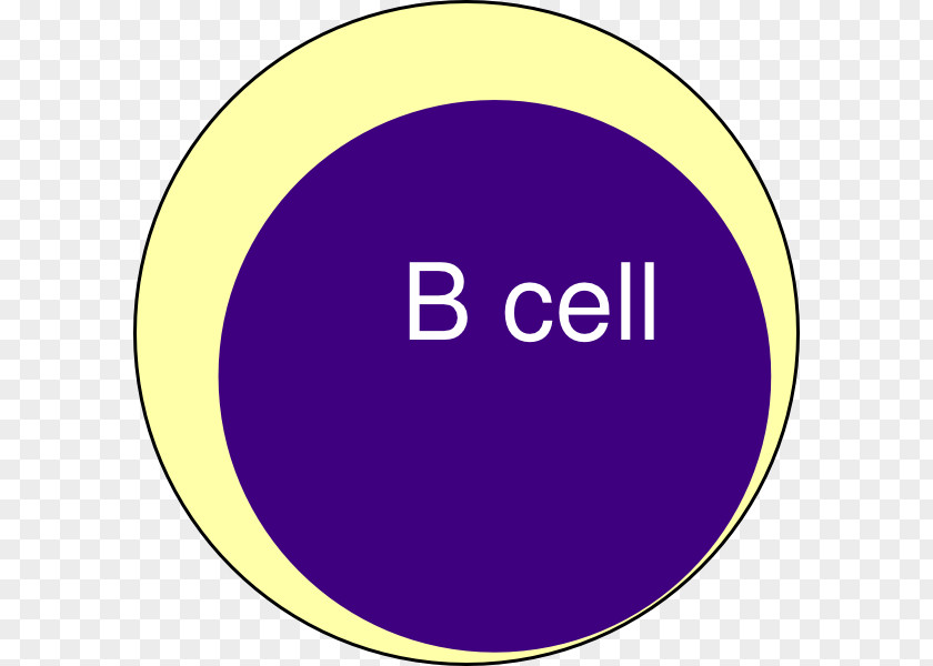 Cell Cartoon B Plasma Blood Clip Art PNG