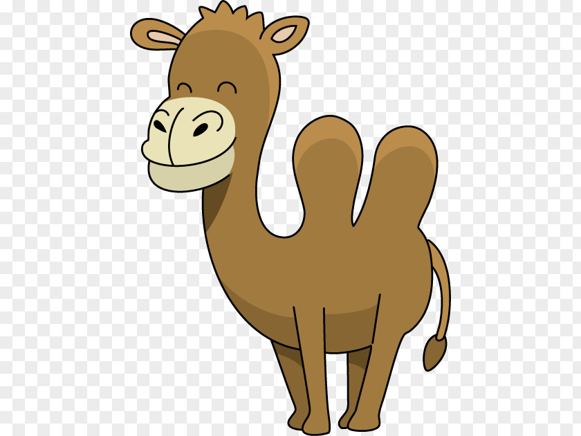 Dromedary Camel Face Cartoon Clip Art PNG