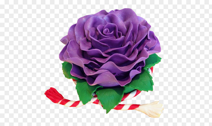 Flower Garden Roses Cabbage Rose Cut Flowers Bouquet PNG