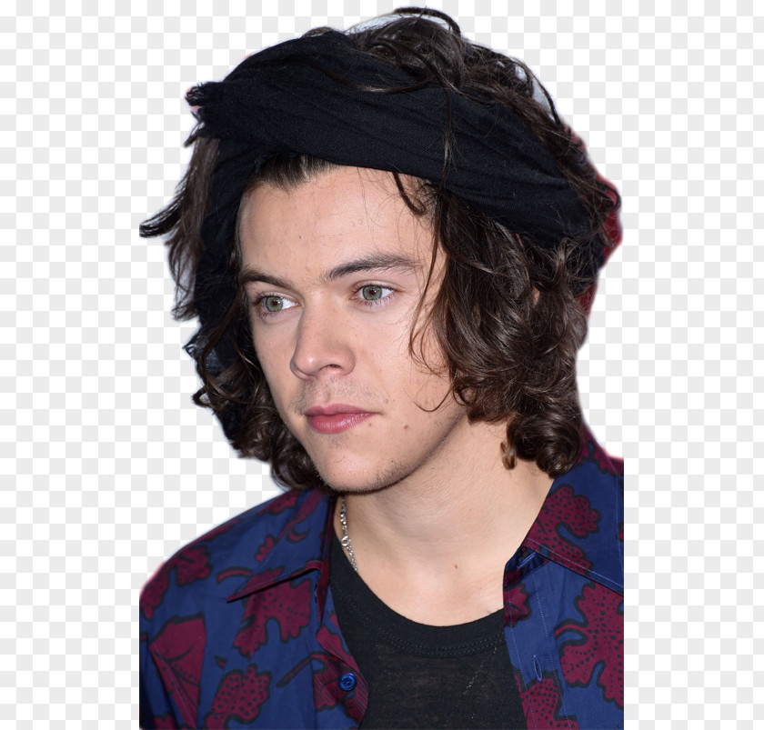 Hair Harry Styles Photography Black PNG