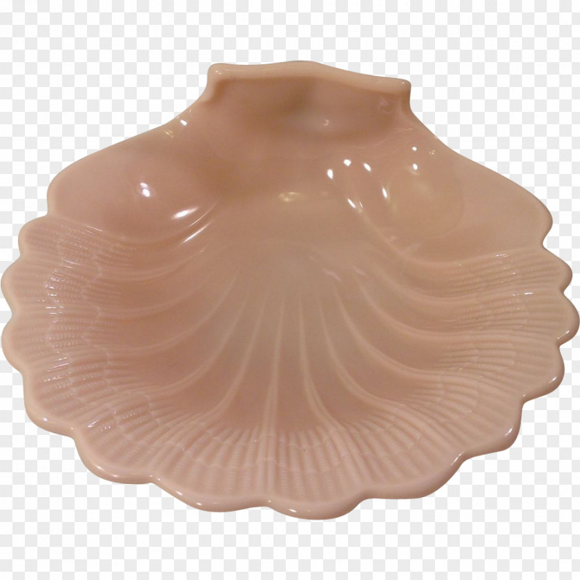 Seashell Tableware PNG