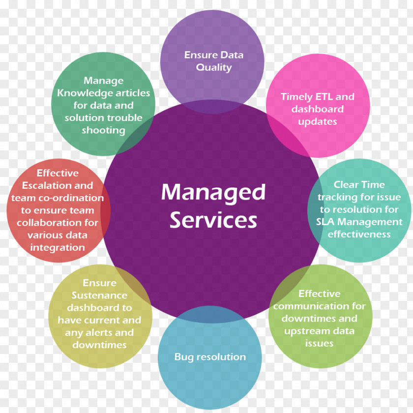 Business Managed Services Analytics Organization Management PNG