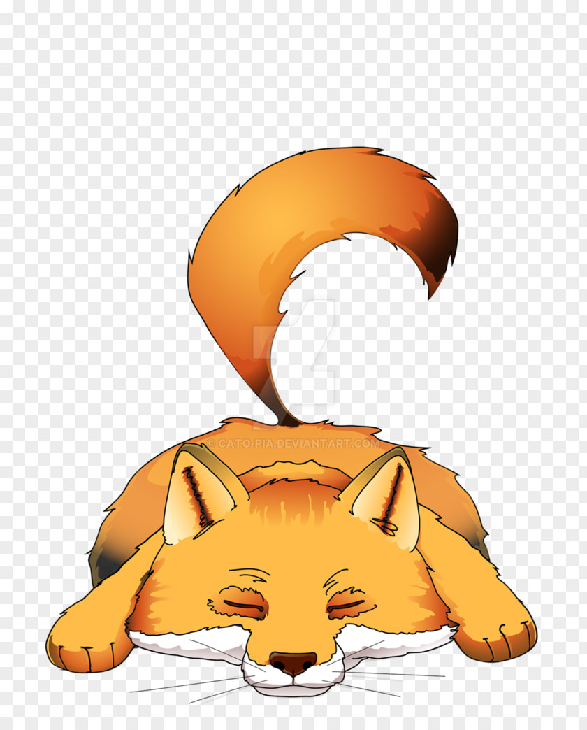 Cat Whiskers Red Fox Tiger Illustration PNG