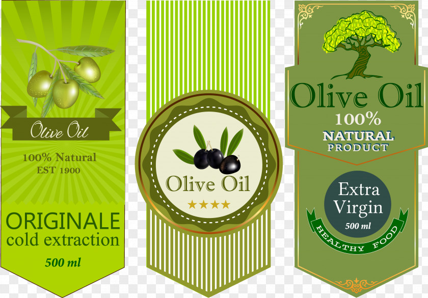 Creative Olive Oil Icon Fruit PNG
