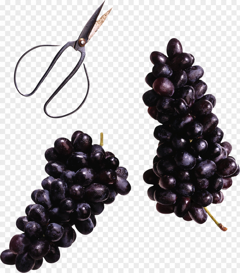 Grape Wine Grapevines Blackcurrant Food PNG