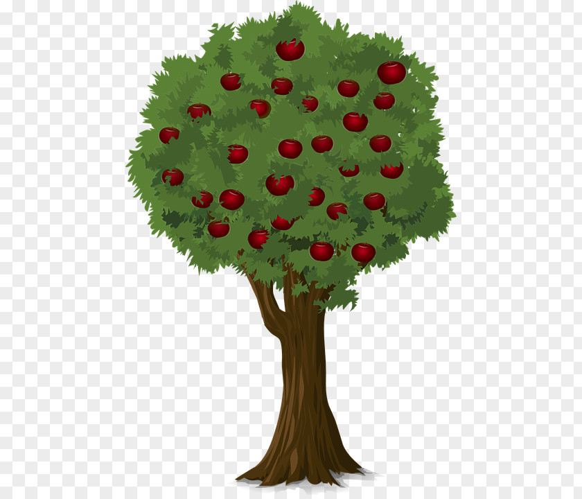 Laden Apple Tree Pick Pixabay Illustration PNG