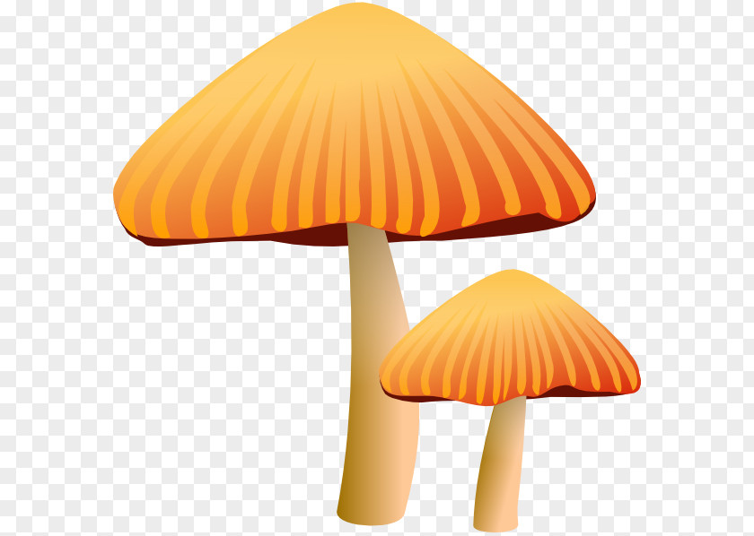 Mushroom Morchella Clip Art PNG