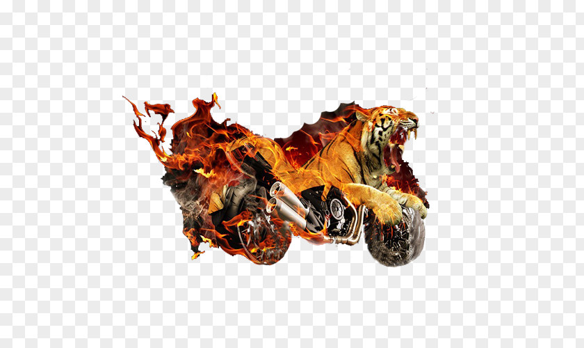 Tiger Motorcycle PNG