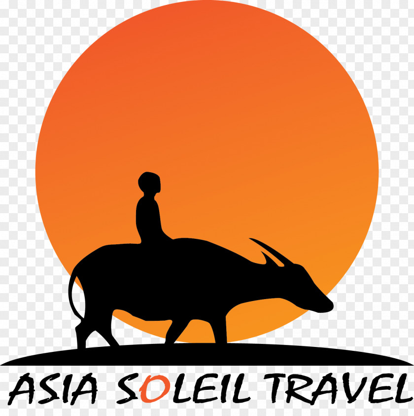 Travel Asia Hanoi Soleil Tourist Attraction Hạ Long PNG