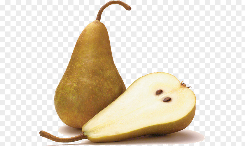 Bosc Pear Asian D'Anjou Fruit Shipova PNG