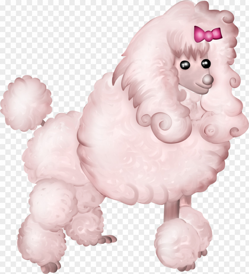 Cane Thicket Poodle Bolonka Puppy Drawing Bichon PNG