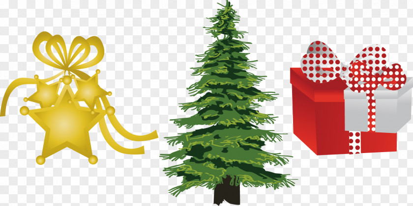 Creative Christmas Ilex Crenata Evergreen Tree Pine Clip Art PNG