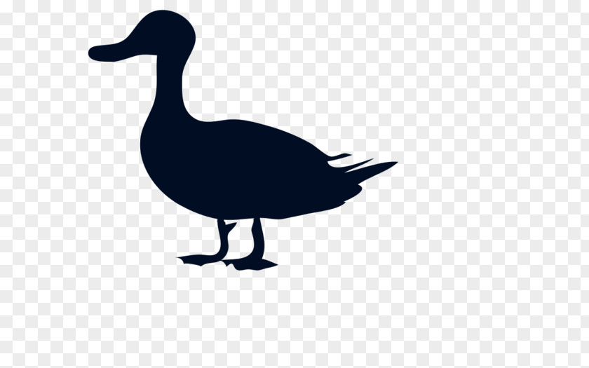 Duck Donald Mallard Silhouette Clip Art PNG