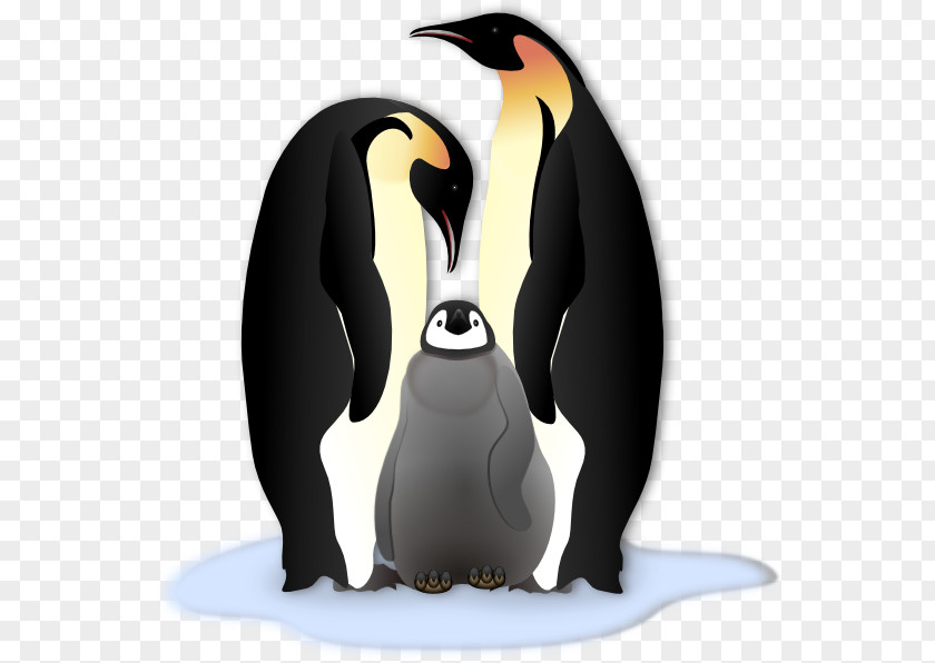 Emperor Cliparts Penguin Antarctica Gentoo Clip Art PNG