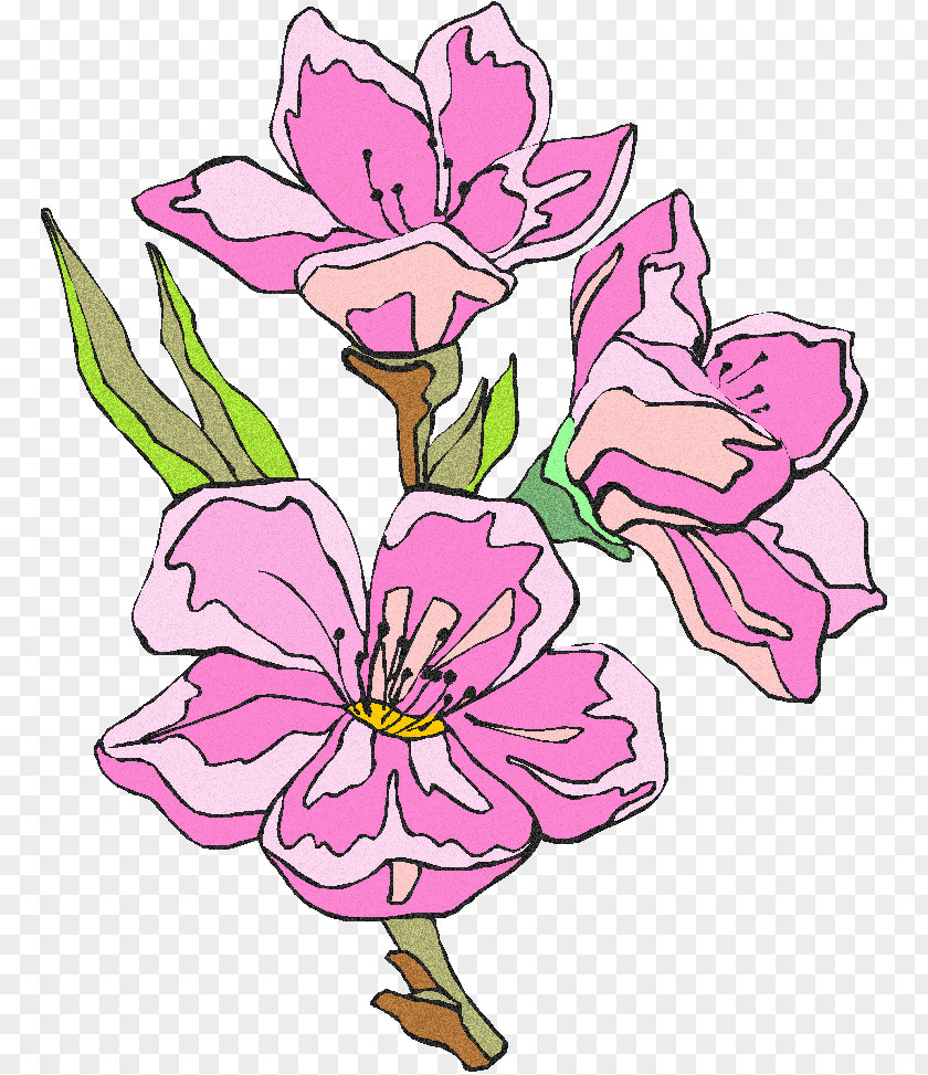 Flower Floral Design Cut Flowers Bouquet Plant Stem PNG
