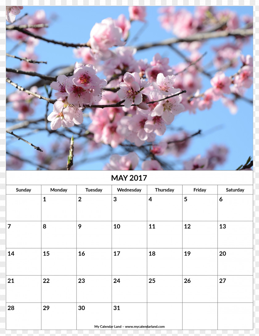 Floweres Calendar No Ga Садница To PNG