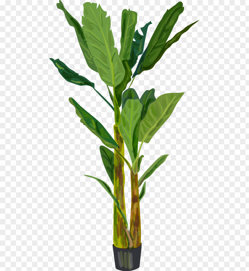 Green Decorative Elements Banana Leaf Download Clip Art PNG