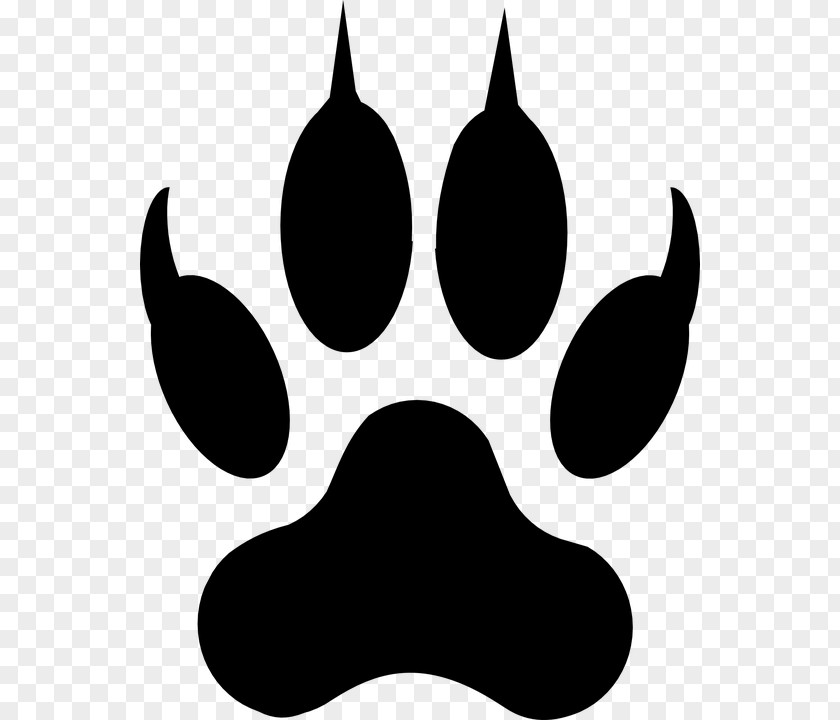 Tigerpaw Gray Wolf Paw Clip Art PNG