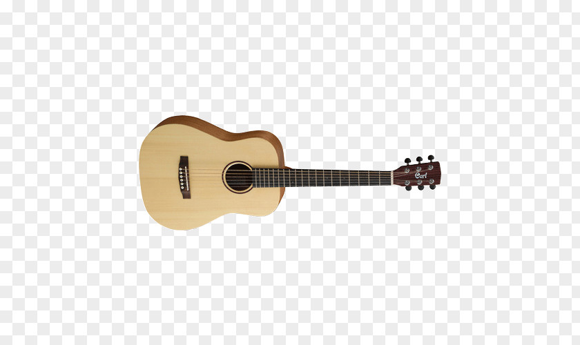 Acoustic Guitar Cort Guitars Acoustic-electric Bass PNG