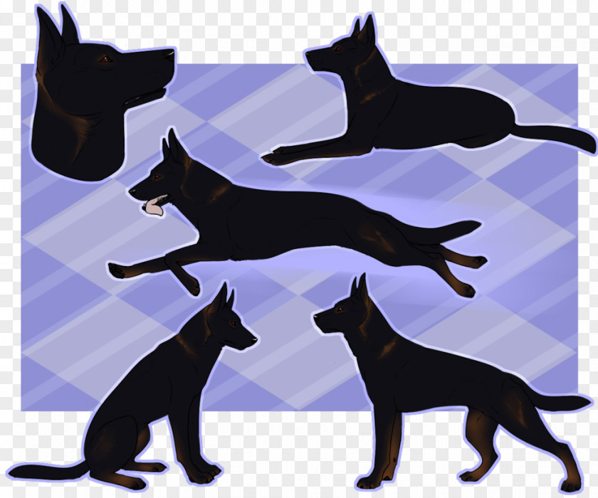 Cat Dog Breed Art Obedience Trial PNG