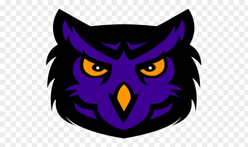 Concepts Owl Logo Sport PNG