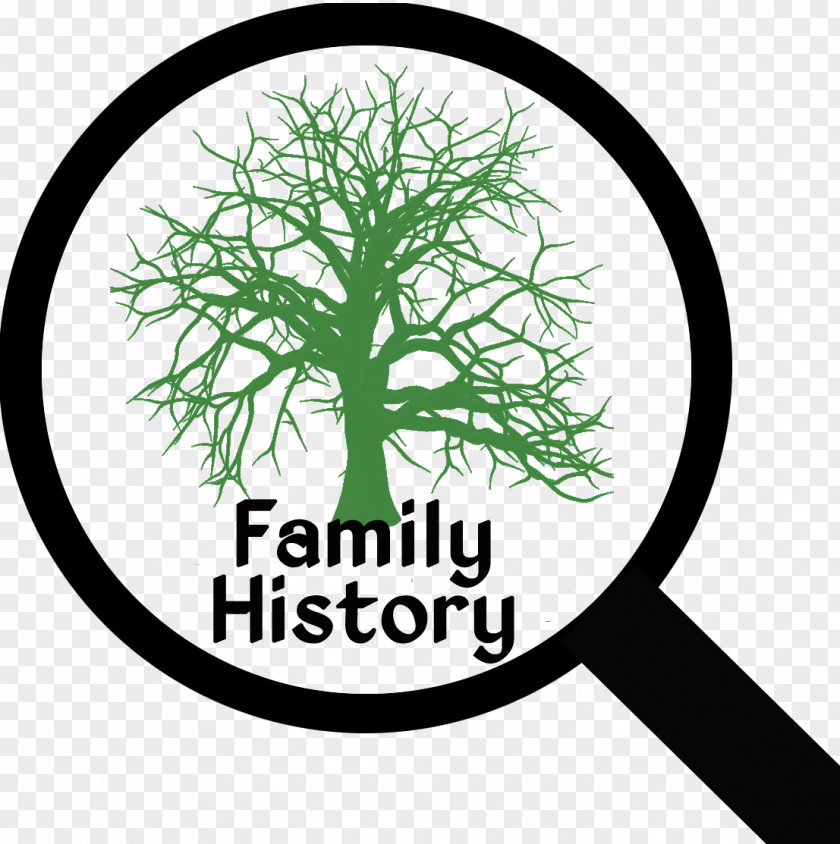 Family Tree Genealogy Ancestor History PNG