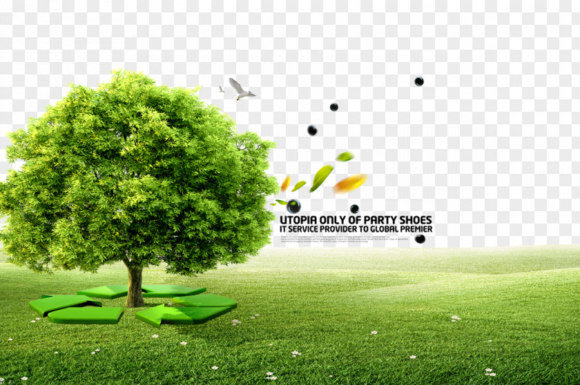 Green Recycle Book Tree Bureau Of Jewish Education Illustration PNG