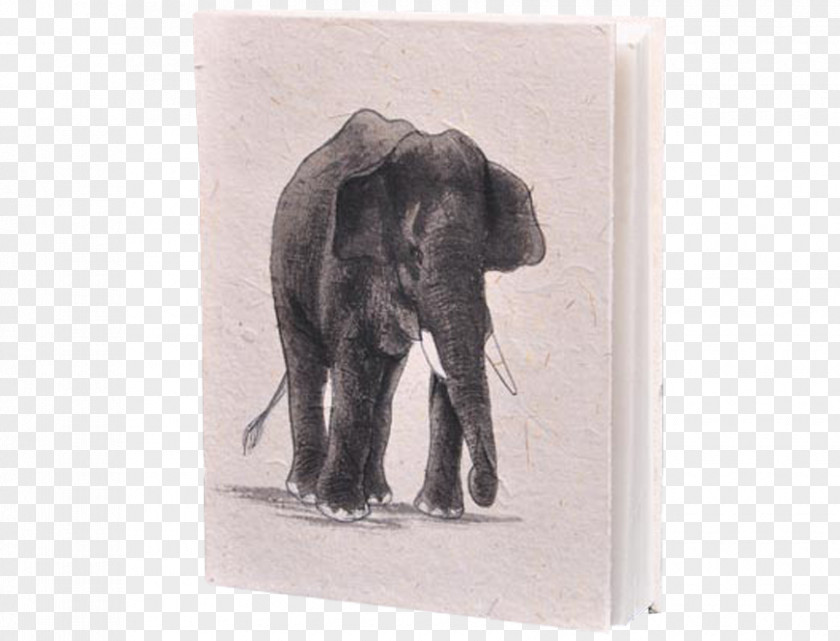 Notebook Indian Elephant African Drawing Sri Lanka PNG