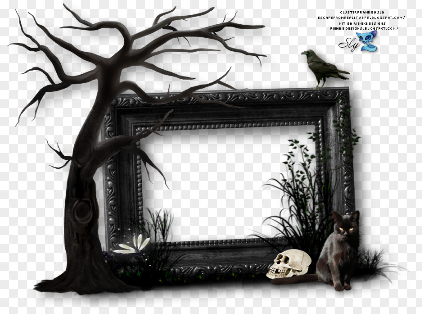 Picture Frame Wall Hanging Frames Scrapbooking Halloween Clip Art PNG