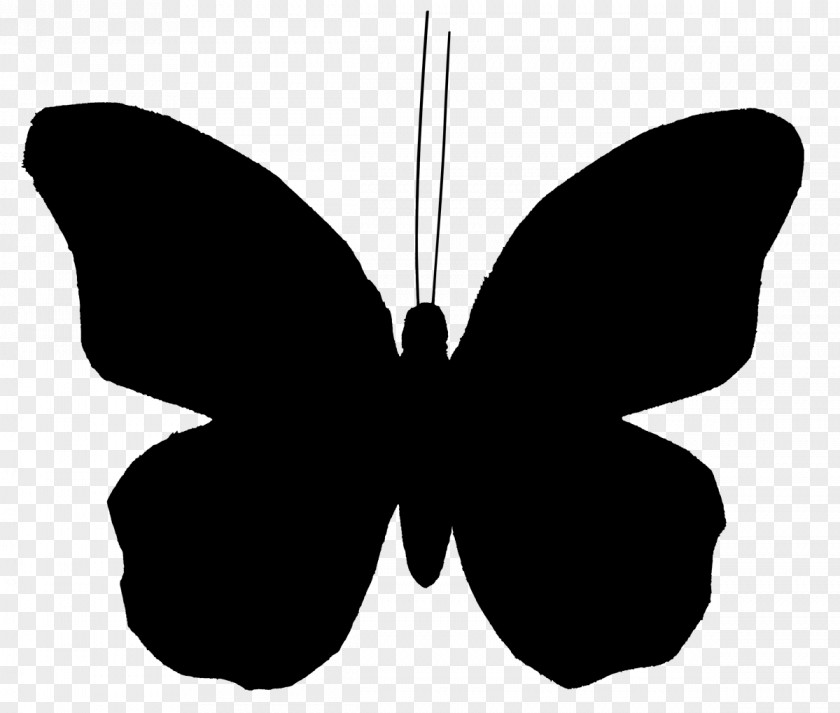 Clip Art Butterfly Vector Graphics Illustration Image PNG