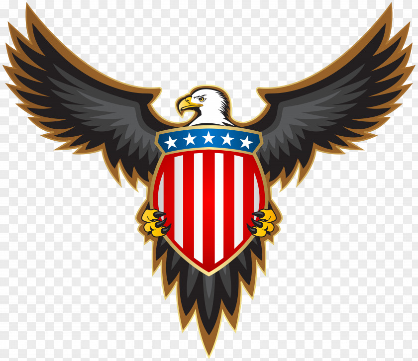 Eagle With American Badge Clip Art Image Bald Stock Illustration PNG