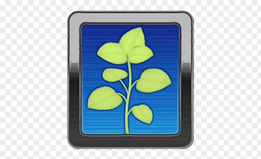 Flower Plant Yellow PNG