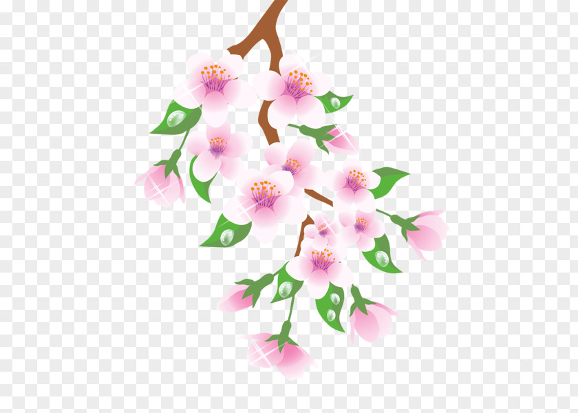 Flowers Blooming In Spring Branch Flower Floral Design Clip Art PNG