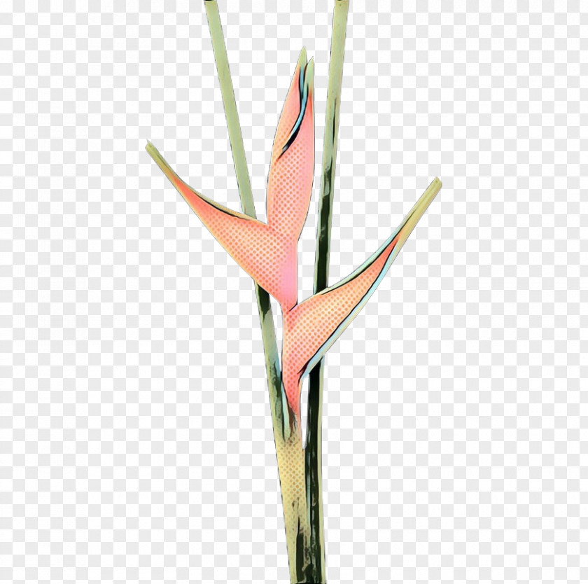 Pedicel Heliconia Bird Of Paradise PNG