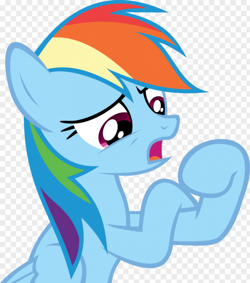 Sorry Rainbow Dash Twilight Sparkle Pinkie Pie Rarity Applejack PNG