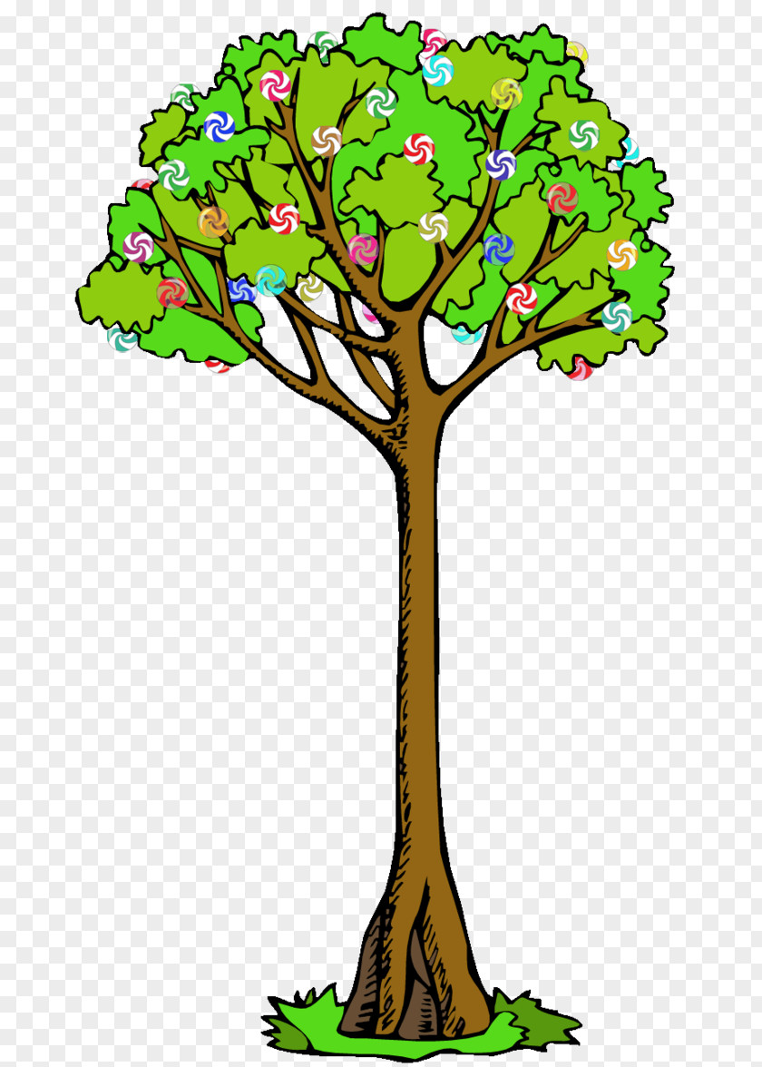 Tree Branch Drawing Clip Art PNG