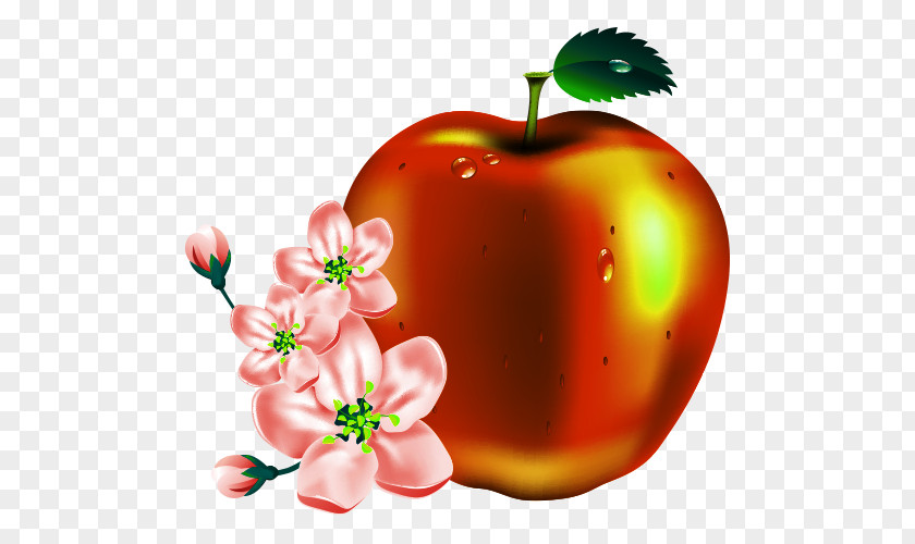 Cartoon Apples Apple Fruit Clip Art PNG