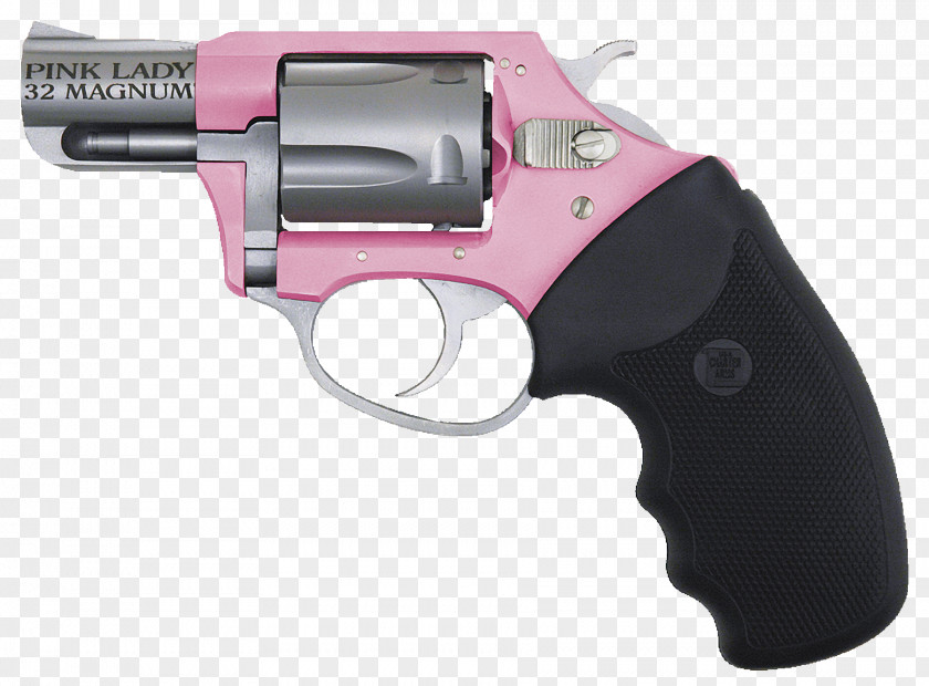 Charter Arms Revolver .38 Special Firearm Pistol PNG