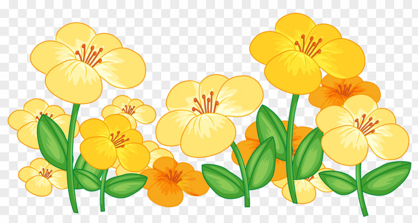 Flower Drawing Clip Art Image PNG
