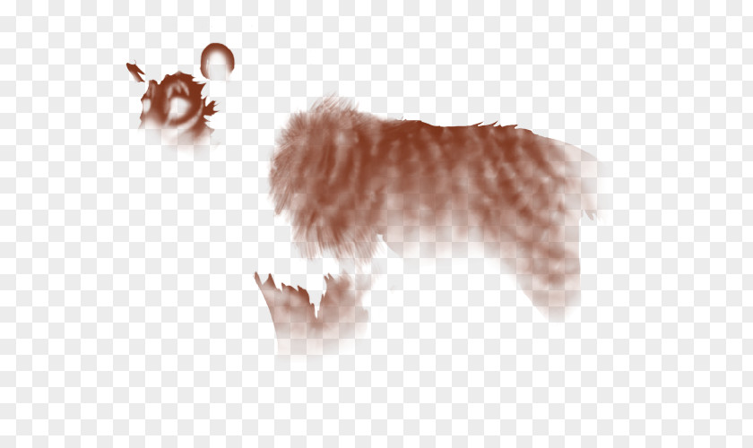 Fur Lion Maltese Dog Cheetah Slot 2 PNG dog 2, lion clipart PNG