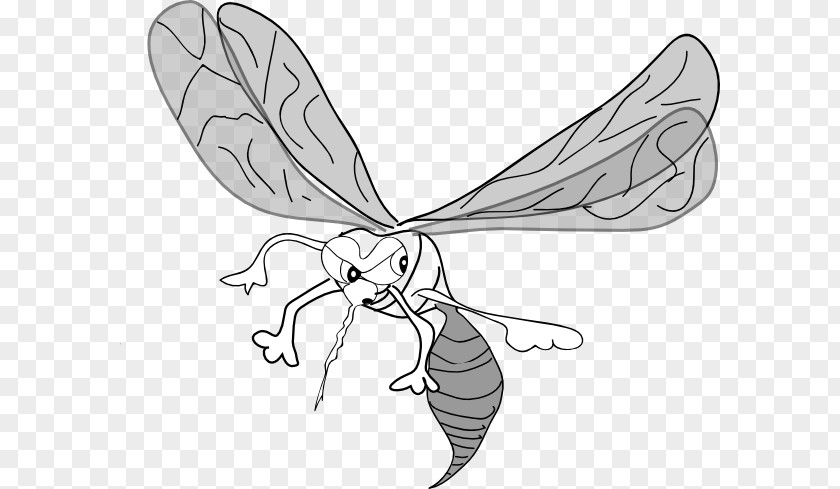 Mosquito Cliparts Drawing Line Art Clip PNG