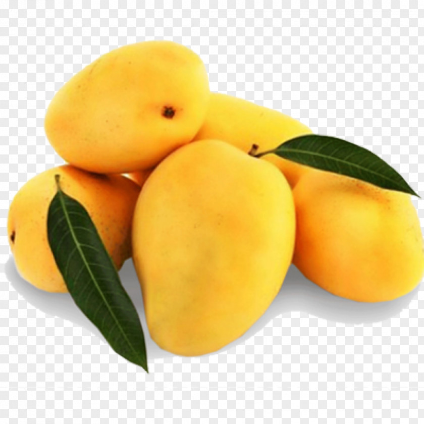 Mangga Mangue Mangifera Indica Mango Juice Alphonso Benishan PNG