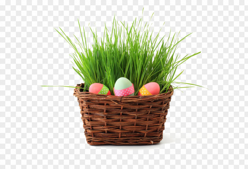 Picnic Basket Easter Bunny Egg Hunt PNG