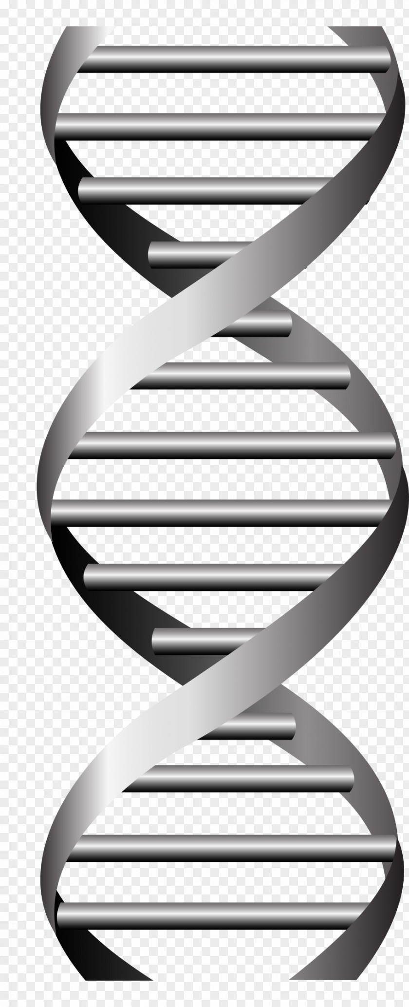Science Symbols Dna DNA Vector Graphics Nucleic Acid Double Helix Genetics PNG