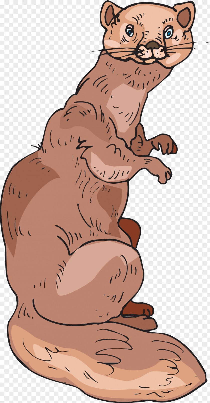 Skunk Marten Clip Art Women PNG