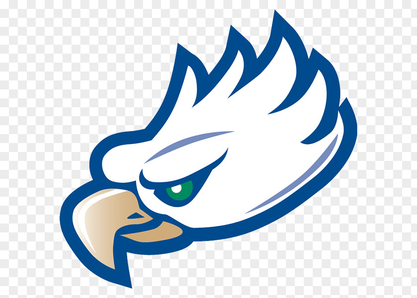 Baseball Florida Gulf Coast Eagles Men's Basketball Soccer Kennesaw State University Atlantic Sun Conference PNG