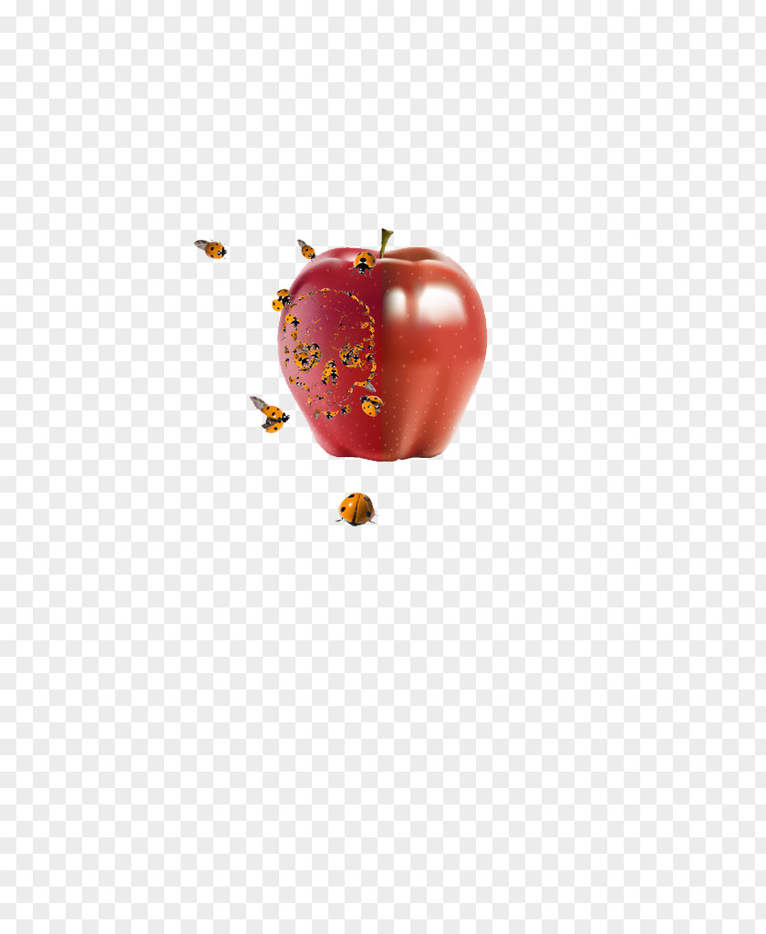 Bee Apples Apple Download PNG